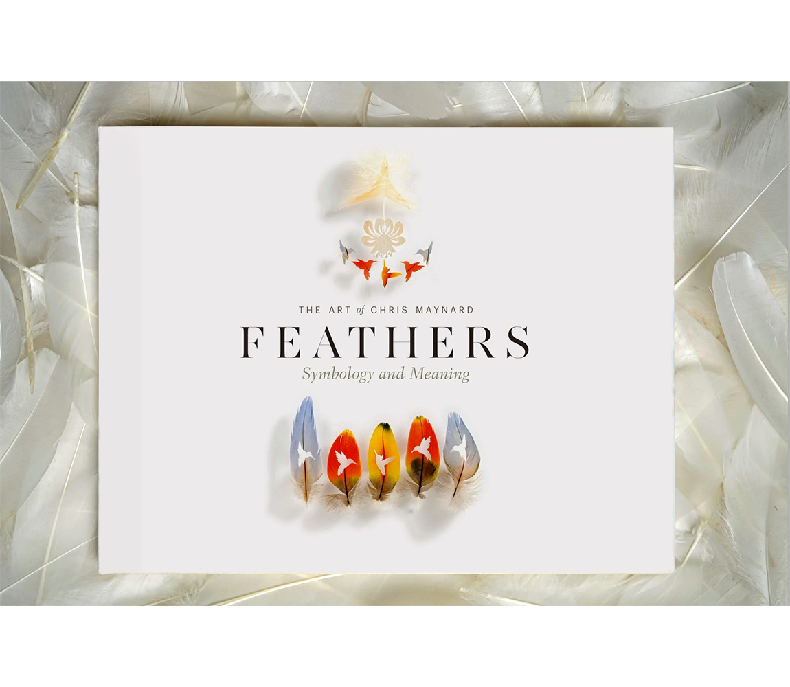 Feathers: Symbology and Meaning book - Chris Maynard